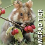 Titelbild, Kamerad Tier, Feldhamster, Kornellkirsche